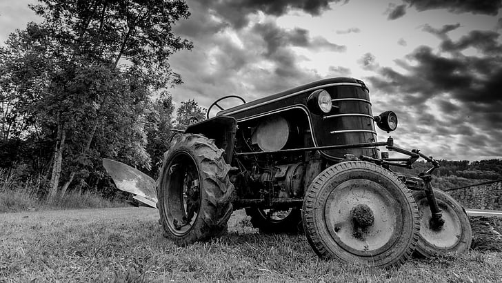 traktor, a mező, munka területén