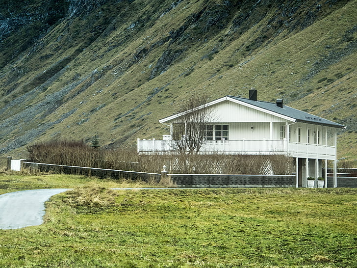 Casa, rurale, campo, Lofoten, Norvegia, inverno, verde