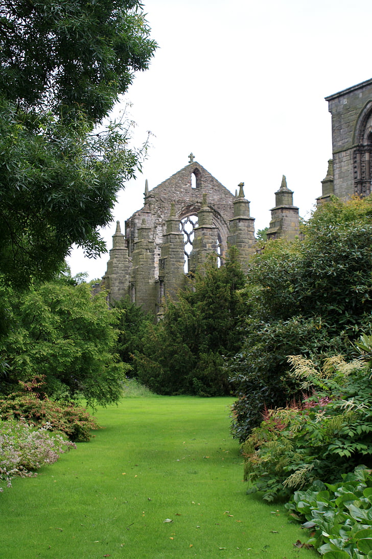 Szkocja, Edynburg, Abby, ruiny, ogród, Wielkiej Brytanii