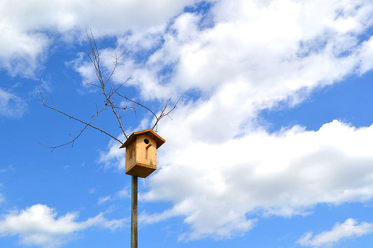 birdhouse, sky, clouds, cloud - sky, day, low angle view, blue