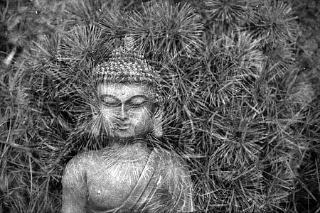 Будда, Медитация, Статуя, Религия, духовные, Буддизм, религиозные