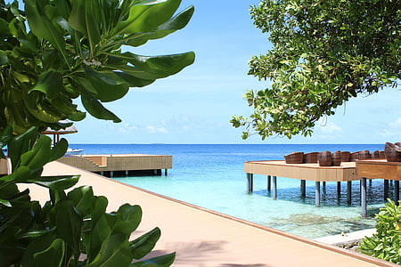 Maldiverna, havet, stranden, sittplatserna, stol, sällskapsrum, webben