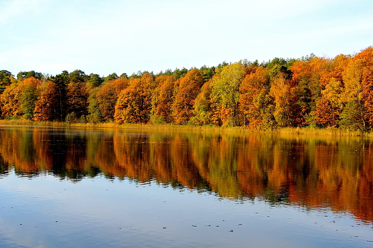 narave, jeseni, dreves, jezero, bližini Krumme lanke