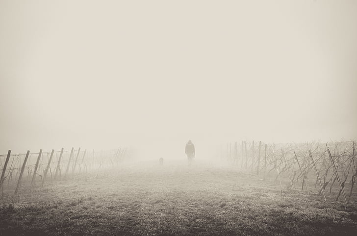 fence, foggy, grass, man, mist, person, walking