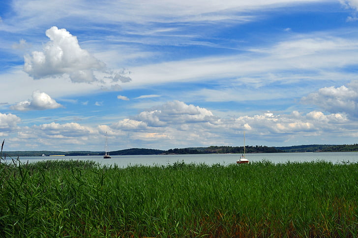 fű, felhő, nyári, természet, tájak, Svédország, kék ég