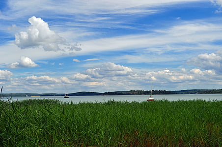 tráva, Cloud, letné, Príroda, krajinky, Švédsko, Sky blue