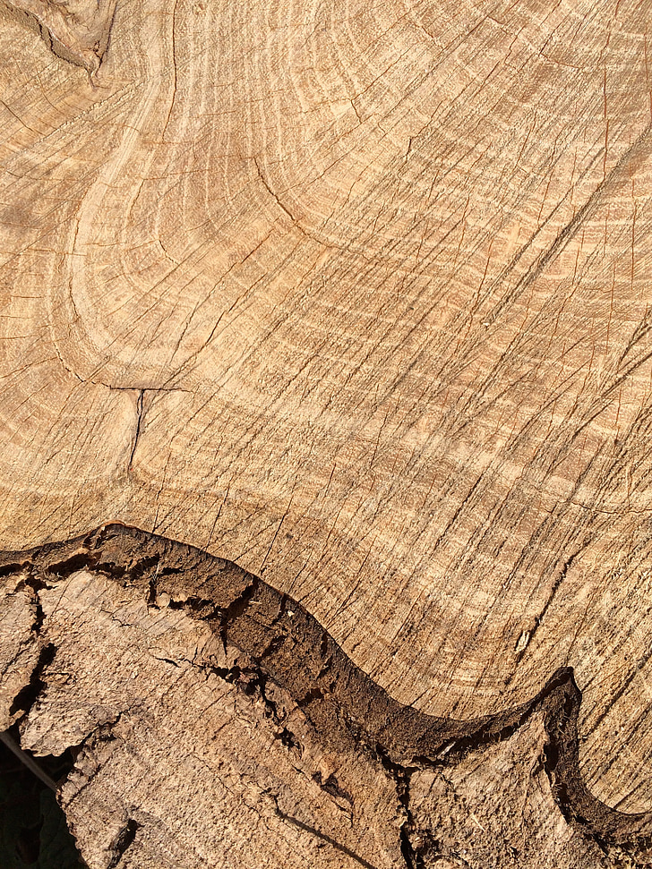 fusta, gra, reixes d'arbre, estructura, marró, textura de fusta