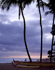 Plaża, katamaran, Hawaje, Ocean, palmy, zachód słońca, Zmierzch