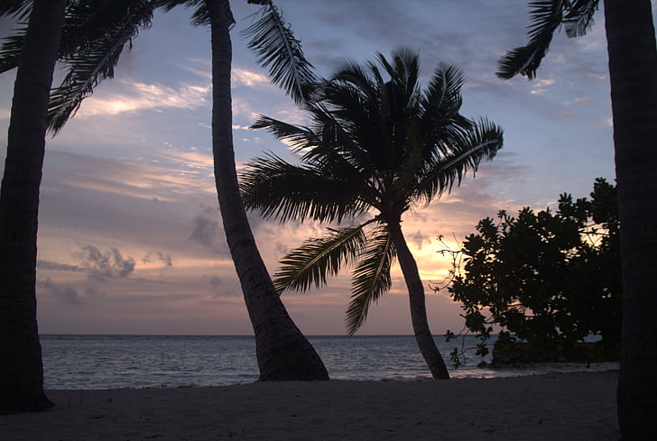 Maldiverna, solnedgång, stranden