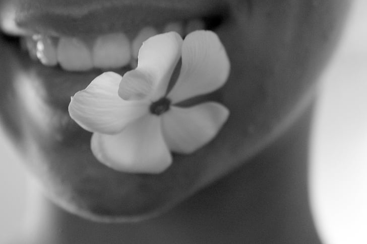 puķe, augu, mute, zobi, zods, seja, meitene