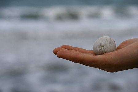 mano de niño, piedra, niño, juego, vacaciones, mar, Playa