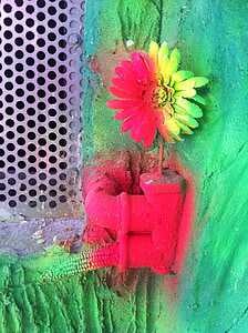 art, graffiti, flower, color, hall