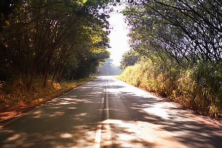 caminho, asfalto, Lane, autoestrada, natureza, estrada, verde