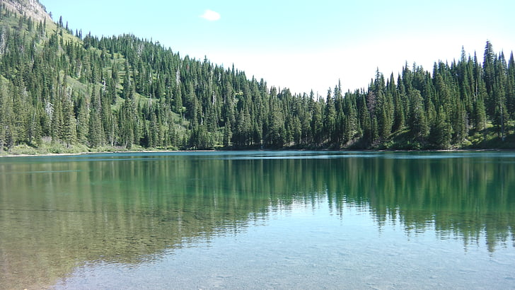 jezero, Hora, přírodní, Příroda, horské jezero, Montana, Les