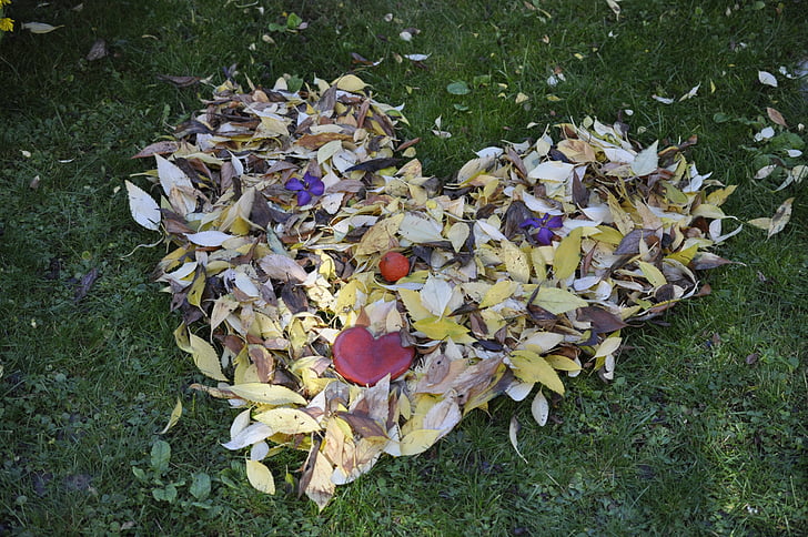 листа, Есенни листи, златна есен, листа през есента, есента цвят, впечатление, плакат