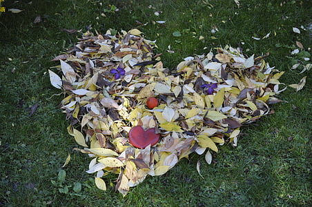 daun, dedaunan jatuh, ben10 emas, daun di musim gugur, warna musim gugur, kesan, Poster