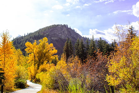 Berg, Trail, Herbst, Colorado, Landschaft, im freien, Lebensstil