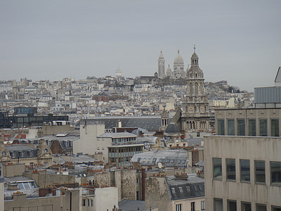 paris, cityscape, sacre coeur, bird flight, overview, houses, roofs