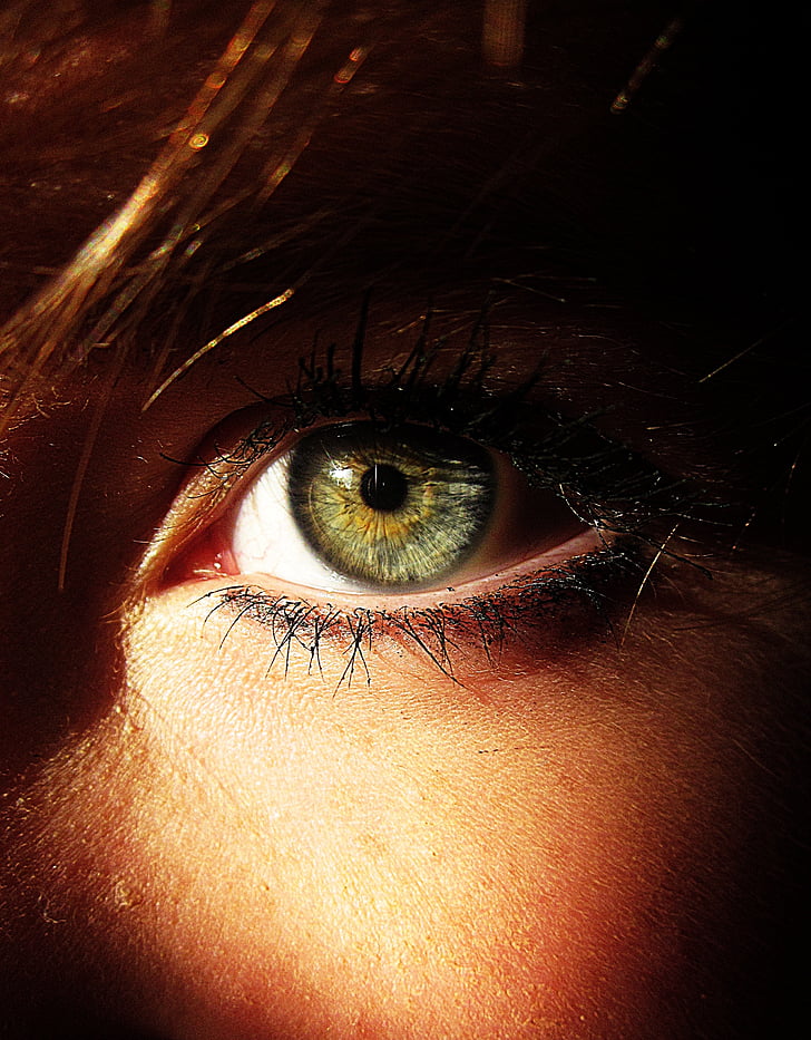 μάτι, χρώμα, πράσινο, πρόσωπο, φωτεινή, μακιγιάζ, γυναίκα
