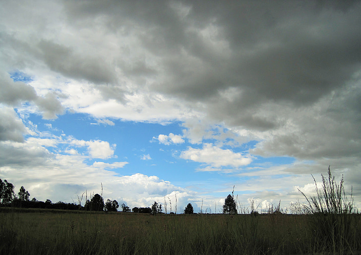 low clouds, sky, clouds, low, veld, grass, tall