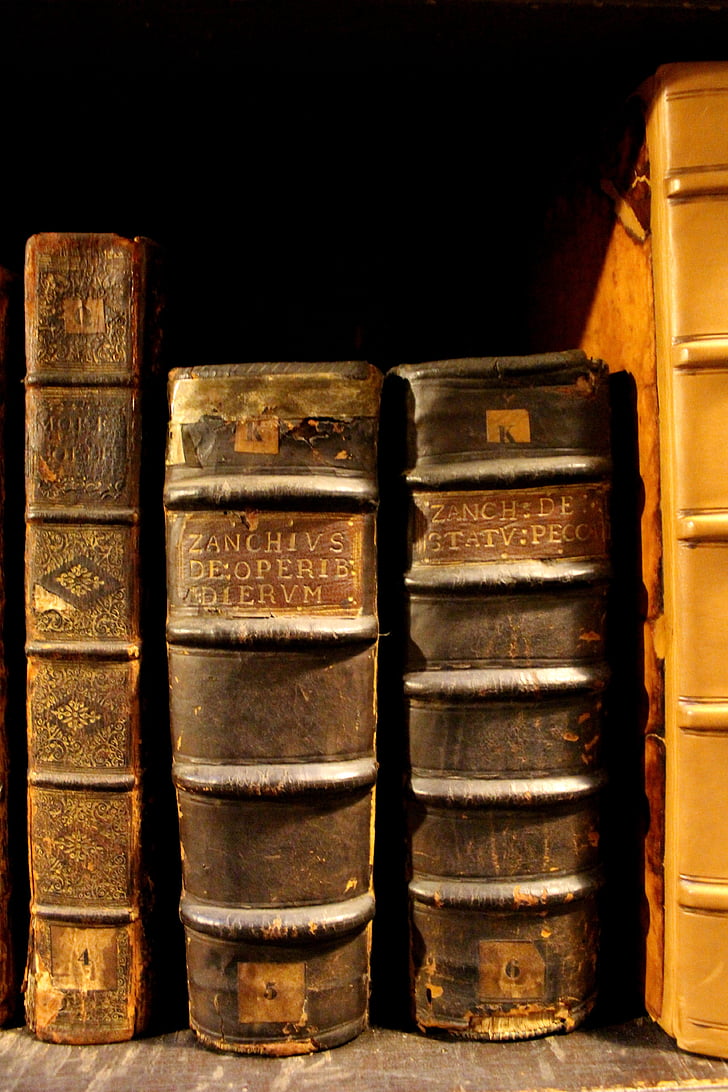 kirjat, Kirjahylly, Kirjasto, käsittelyssä, oppiminen, Vintage