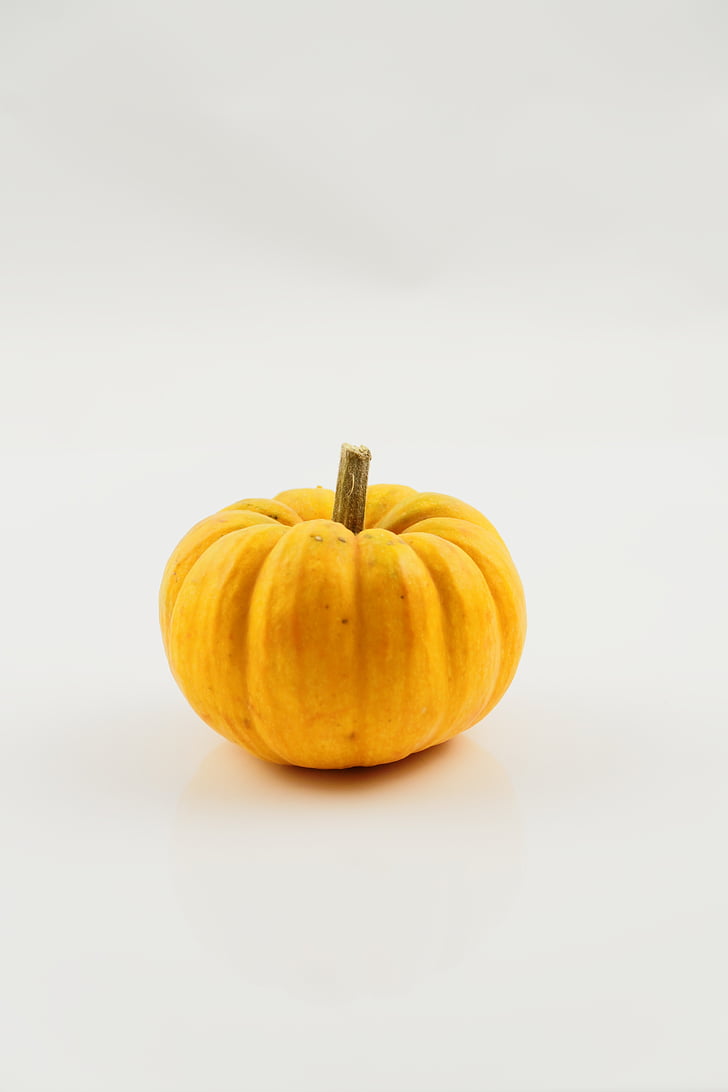 pumpkin, vegetables, autumn, harvest, healthy, food