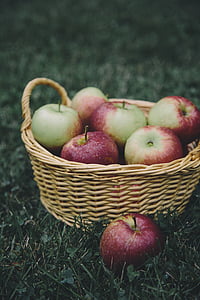 apple, apples, basket, apple picking, fruit, food, healthy