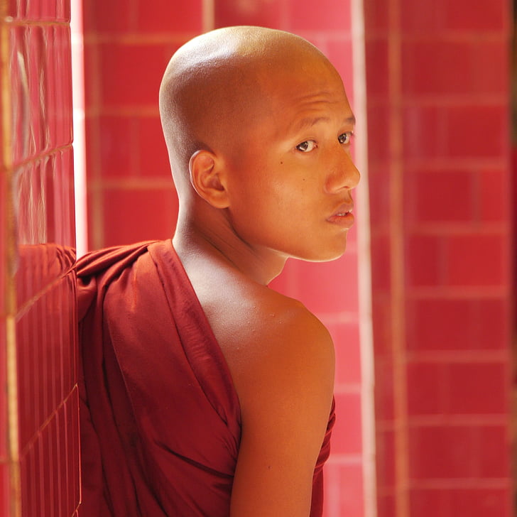 Monks, Mjanma, budistu, jaunais, klosteris, Birma, vīrieši