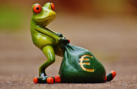 grenouille, argent, Euro, sac, sac d’argent, drôle, mignon