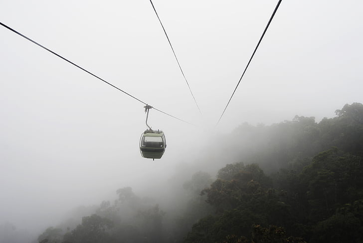 sort, kabel, bil, skov, omgivet, tåge, Gondola