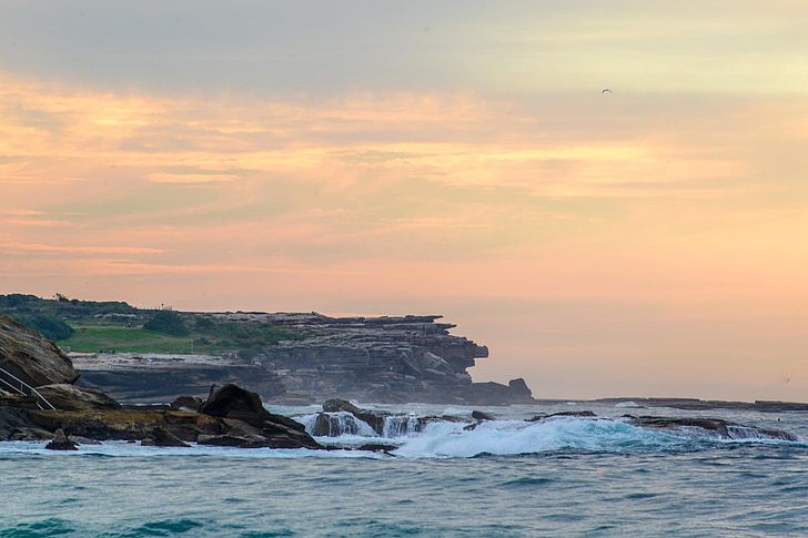 Coogee, Sydney, Austrālija, okeāns, akmeņi, saullēkts, rozā