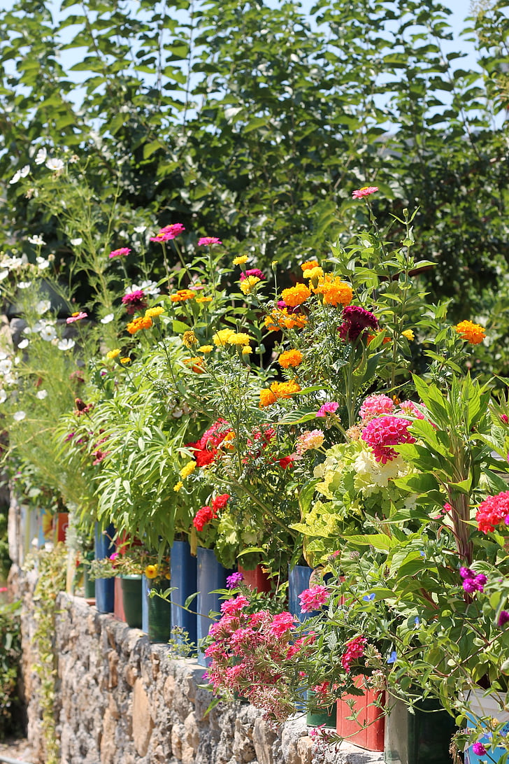 kleurrijke, planten, potten, muur, bloem, buitenshuis, plant