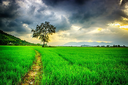 облака, Облачно, сельской местности, ферма, поле, трава, пейзаж
