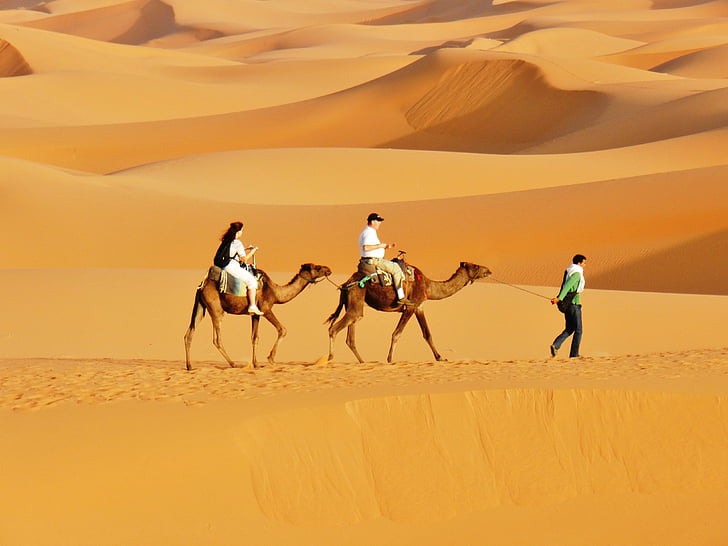 Maroc, désert, dunes