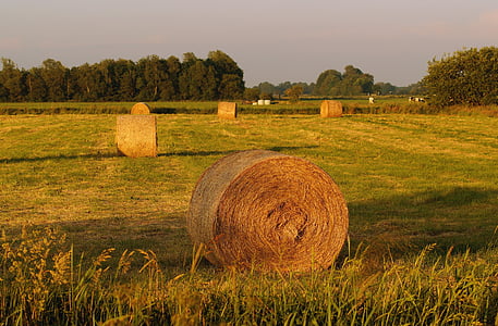 meadow, round bales, hay, agriculture, sunset, romantic, bale