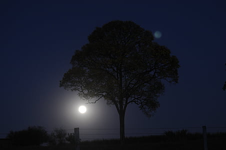 noapte, natura, luna, lumina lunii, nocturna, cer