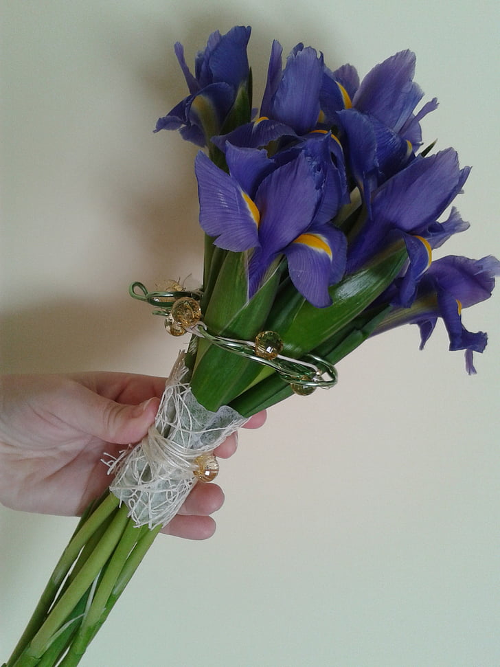 pušķis, kāzas, zila, griezti ziedi, Violeta, puķe