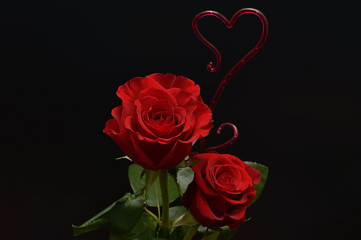 rožės, širdies, meilė, gėlės, Romantika, Valentino diena, raudona