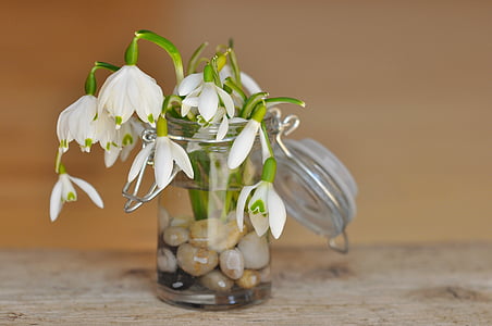 lily of the valley, snowdrop, decorative glass, glass, stones, vase, jar