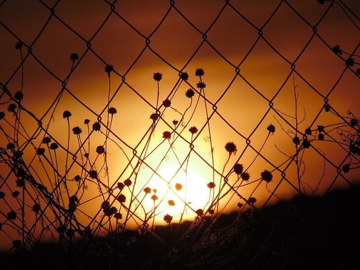 sunset, orange, sun, fence