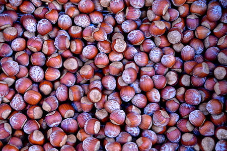 hazelnuts, nuts, market, brown, nut, nutshells, hazelnut