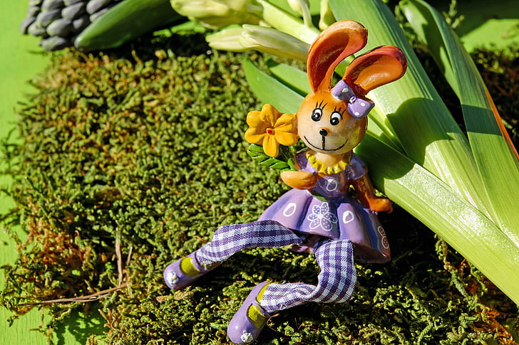 Veľkonočný zajačik, Veľkonočné, obrázok, posedenie, jar, Moss, slnko