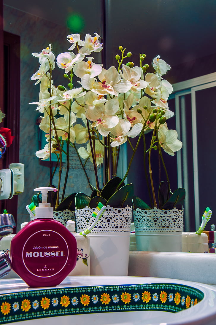 bany, mirall, casa, interior, orquídia, decoració, flor