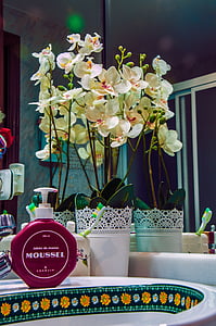 Ванная комната, зеркало, Домашняя страница, внутри, Орхидея, украшения, цветок