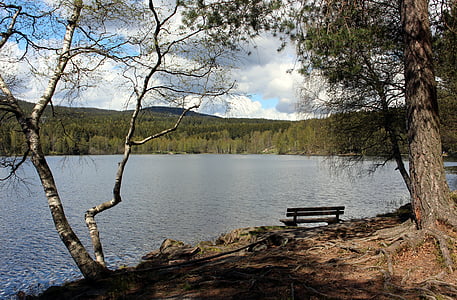 Oslo, Norge, Nordmarka, sjön, Sognsvann, Bank, träd
