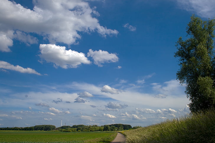 awan, padang rumput, bidang, langit musim panas
