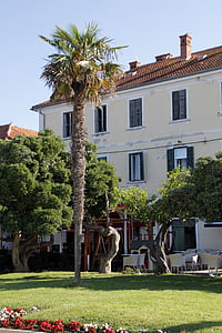 Palm, Horvātija, Zadara, mājas