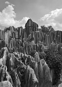 floresta de pedra, rocha, Shilin, natureza, Parque, Parque Nacional, China