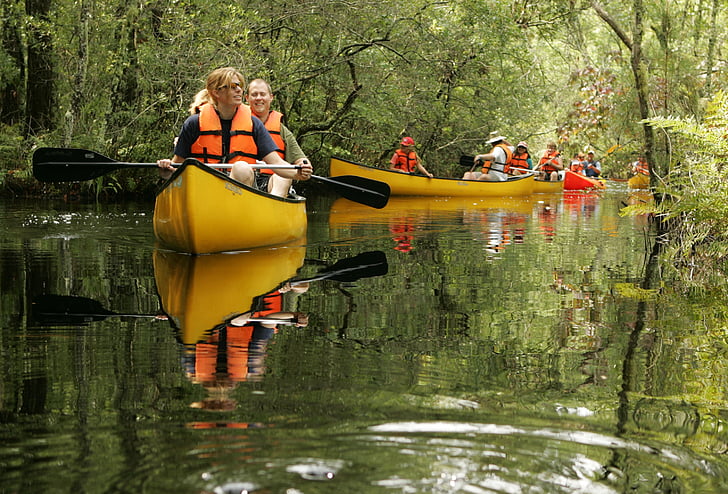 kano, elven, båt, vann, natur, rekreasjon, sport