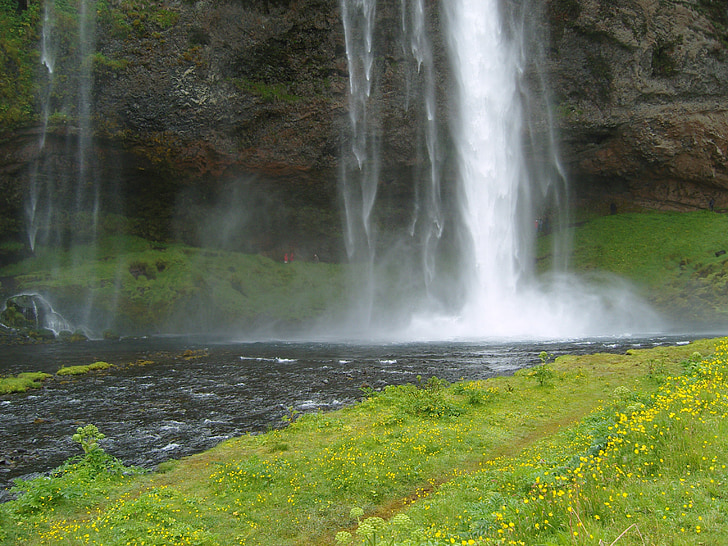iceland, waterfall, green, water, picturesque, nature, force of nature